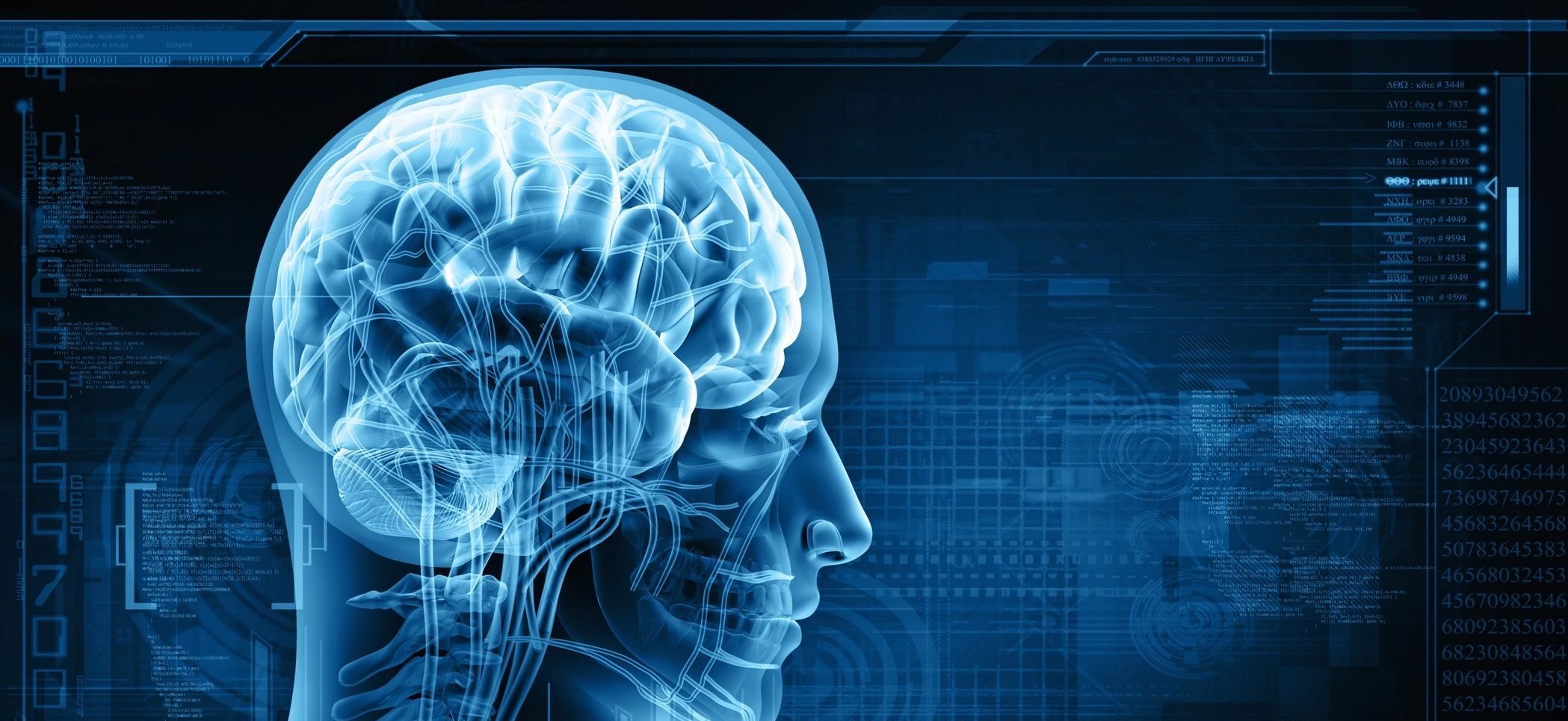 profile head and brain