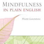 Mindfulness in Plain English book cover